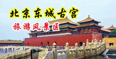 后入素人一线天私密视频福利姬中国北京-东城古宫旅游风景区